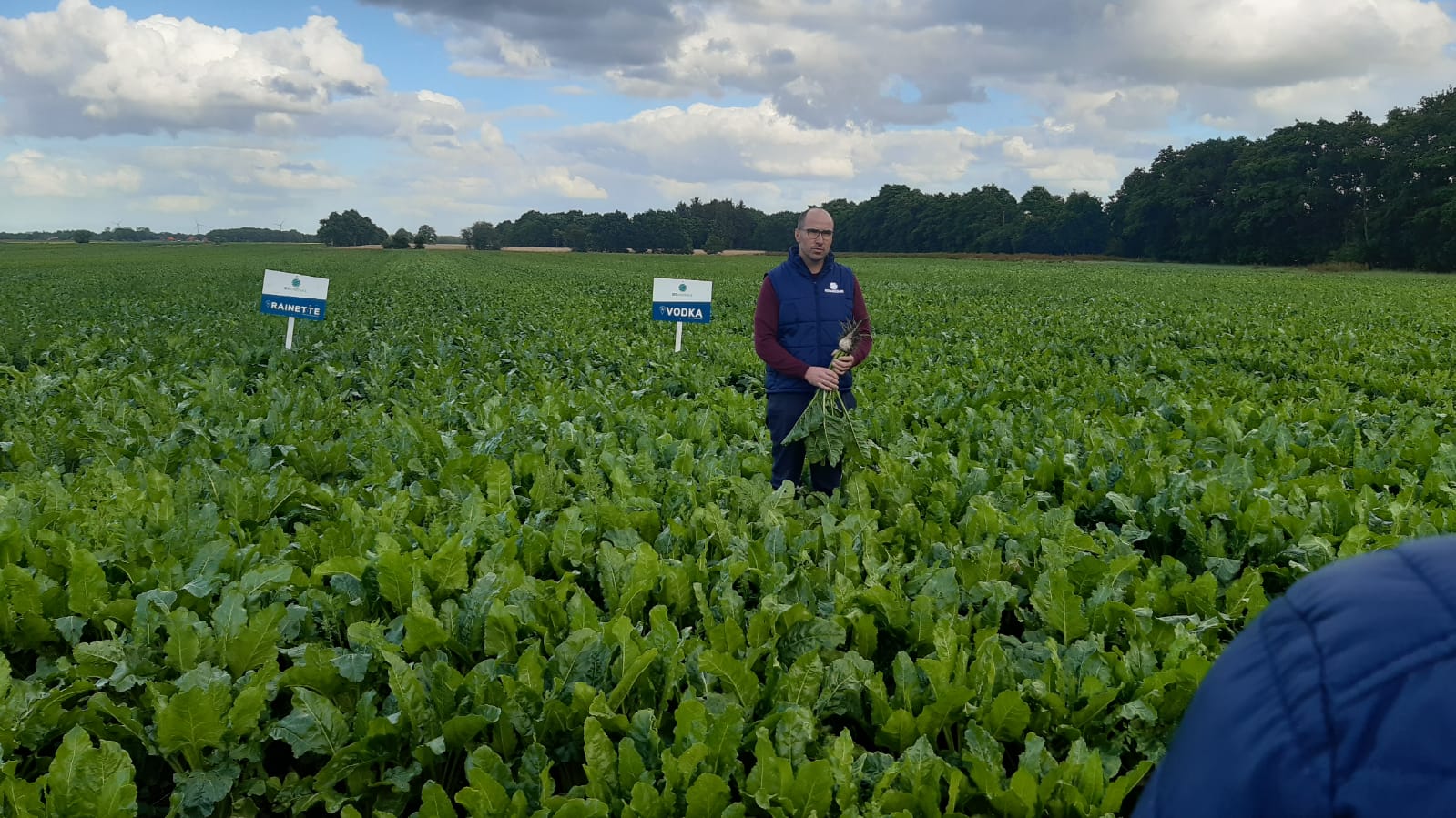 newsimages/133-Zurckerrüben 2.jpg